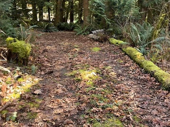 5th image of 8146 Watkins Road