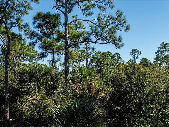 5th image of 26185 Brooks Rd Lot 920