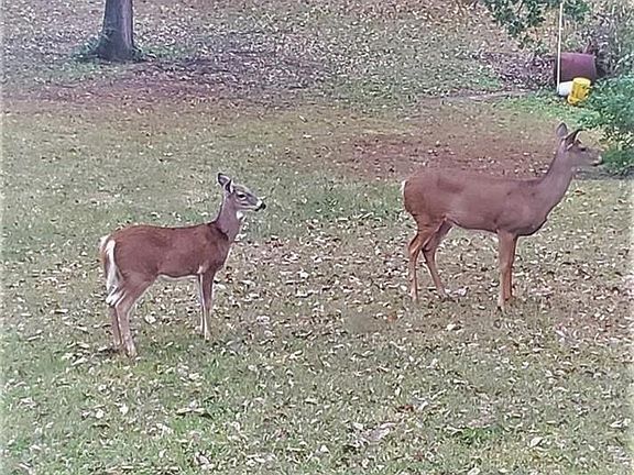 5th image of 16130 W County Road 71