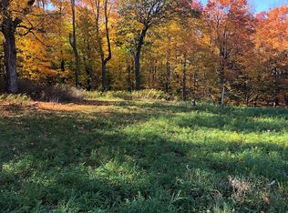 128 Gates Hill Rd, Middleburgh, NY 12122