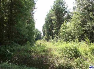 Foxbay Rd, Johnsonville, SC 29555