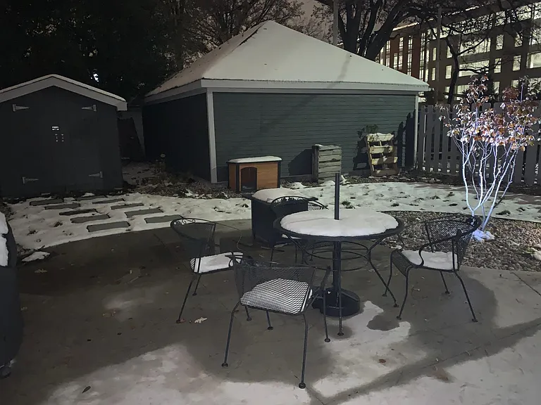 Backyard