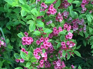 6 Braidburn Way, Morristown, NJ 07960