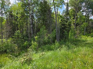 40 Ac Hwy #45, Watersmeet, MI 49969