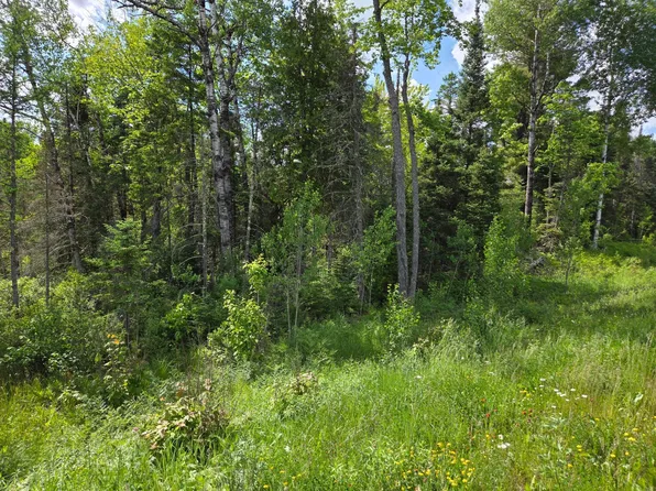 40 Ac Hwy #45, Watersmeet, MI 49969