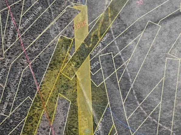 0 Ohio Gulch Trail, Dumont, CO 80436