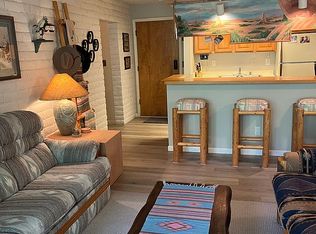 434 Vine St #434, Aspen, CO 81611