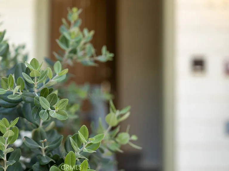 297 Tustin Field Dr — Photo 6