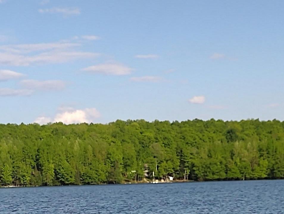 Peshtigo River Rd, Laona, WI 54541 Zillow