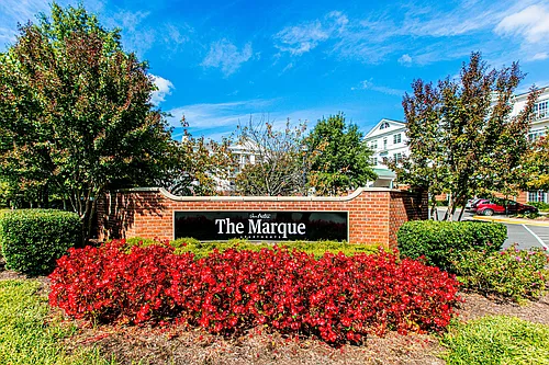 The Marque Photo 1
