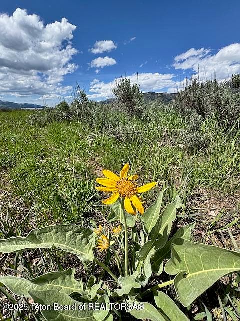 1st image of LOT 73 Snake River Dr