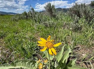 LOT 73 Snake River Dr, Alpine, WY 83128