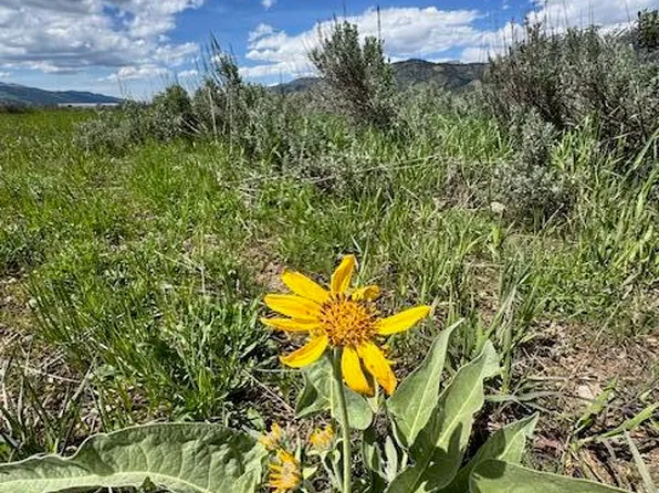 LOT 73 Snake River Dr, Alpine, WY 83128