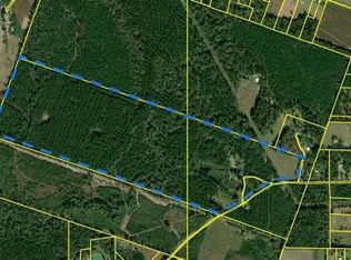 11167 Siebert Rd, Amite, LA 70422