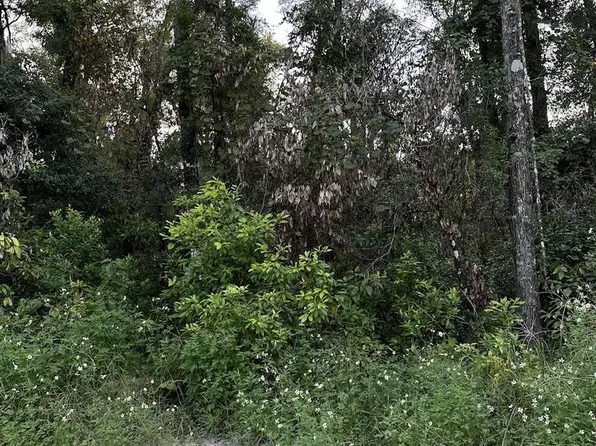 0 SW 81st Ter, Trenton, FL 32693