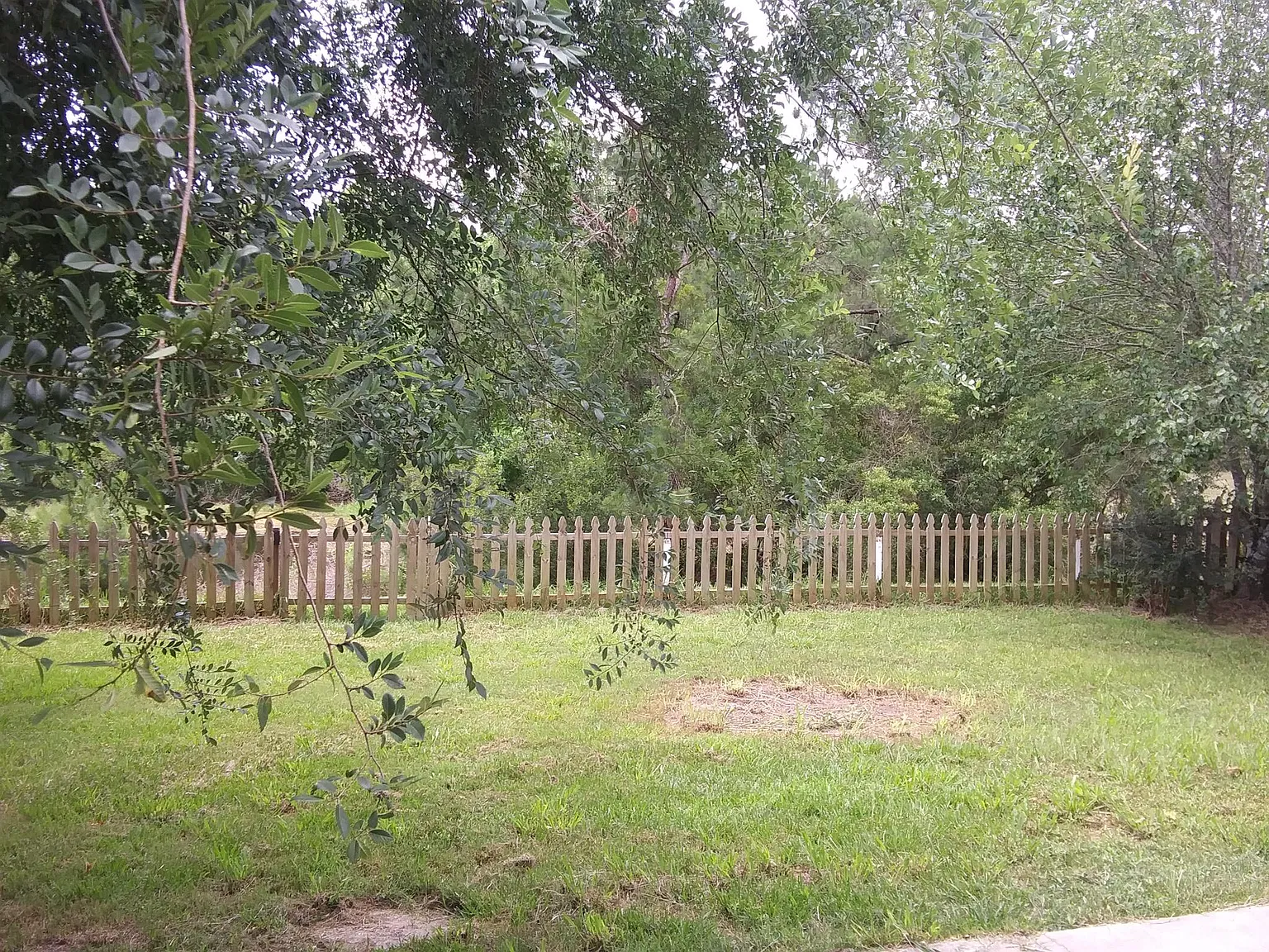 3 bed, 1344 sqft, $1,800 — Photo 2