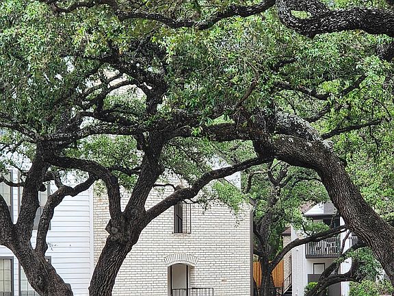 Live under the Oaks
