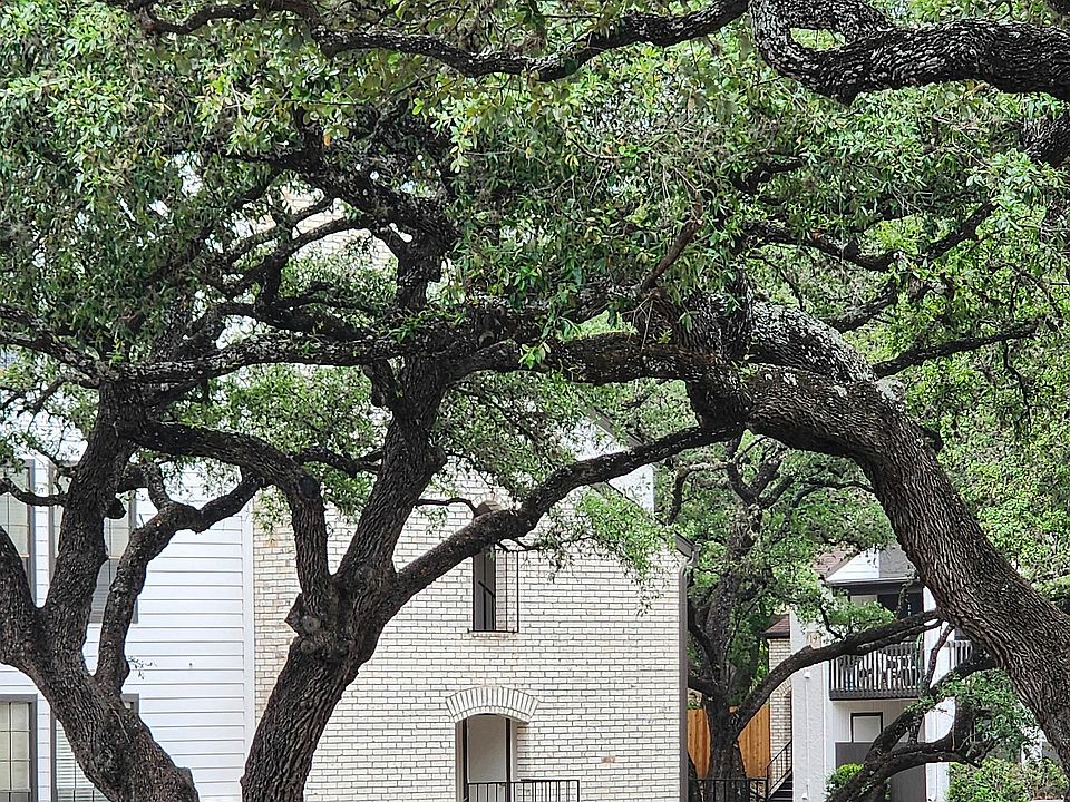 Live under the Oaks