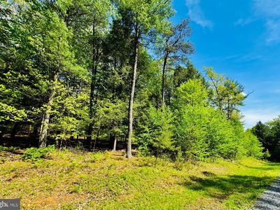 LOT 11 Paradise Rd, James Creek, PA, 16657