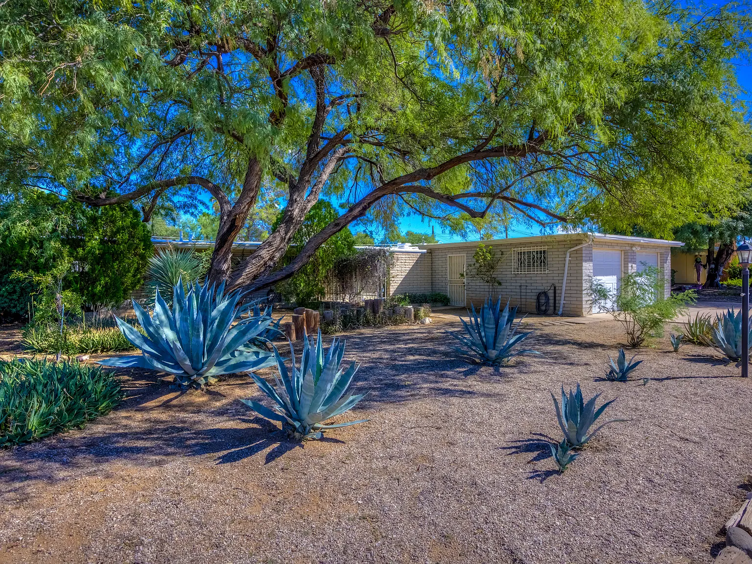 4 bed, 2156 sqft, $2,095 — Photo 3