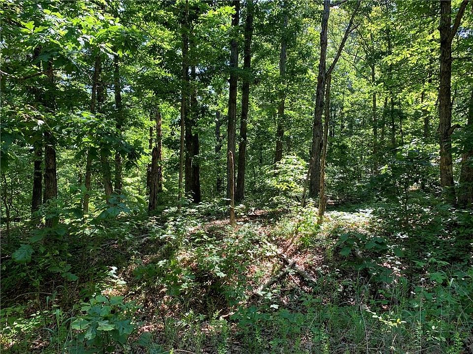 1st image of Harwood Dr