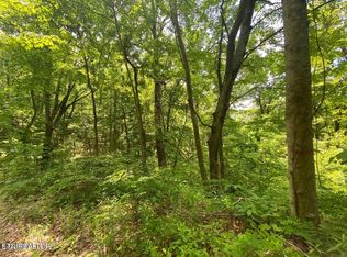 LOT 61 High St, Sevierville, TN 37862