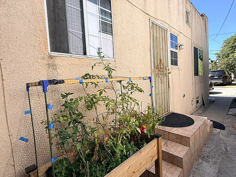 side yard kitchen door