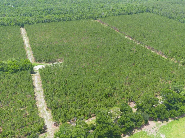 1 221st Rd, Live Oak, FL 32060