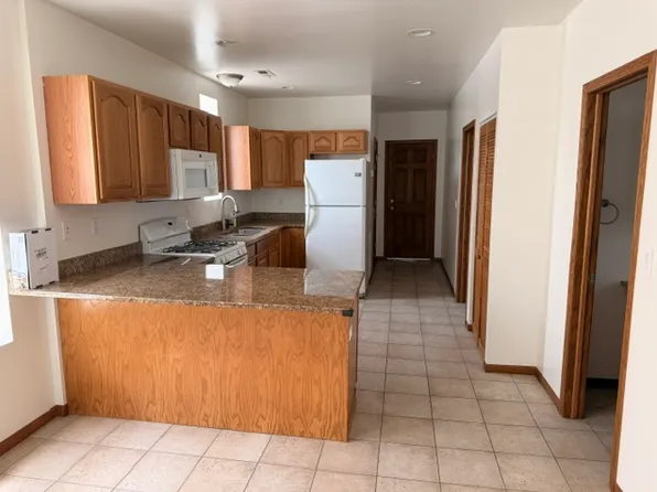 3116 S Union Ave APT 3, Chicago, IL 60616