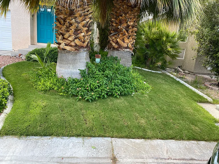 10087 Distant Rain Ct — Photo 5