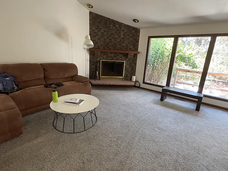 Living room with fireplace