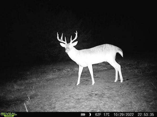 River Bluff Rd LOT 4, Idabel, OK 74745