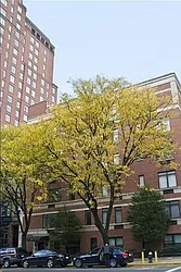 44 West 106th Street in Manhattan Valley