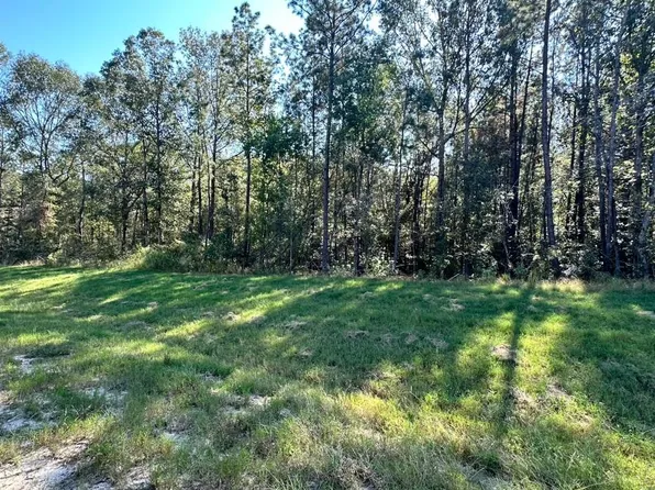 11530 E Bramble Ct, Willis, TX 77378