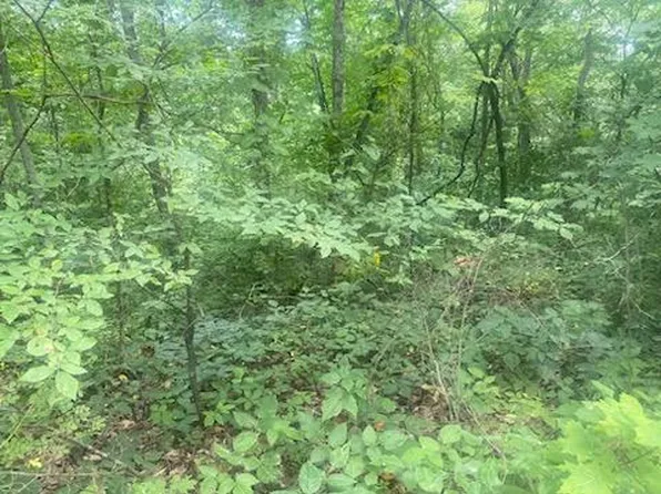 34 Rock Springs Rd #0, Celina, TN 38551