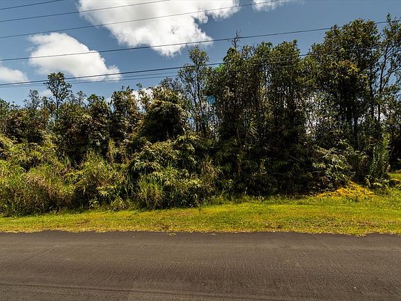 4th image of Anthurium St Lot 8192