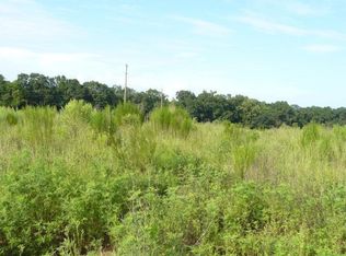 227 Rambo Mill Rd, Cottonwood, AL 36320