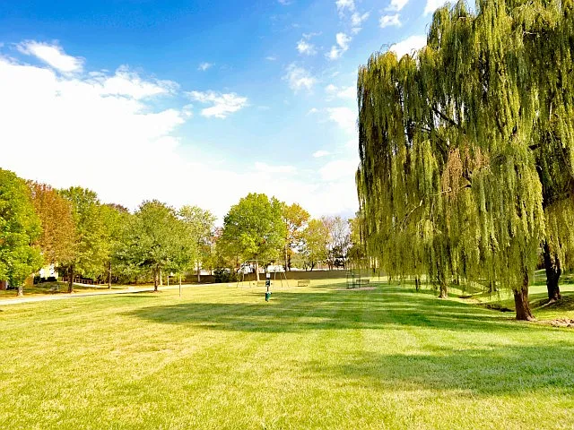 Picturesque landscape