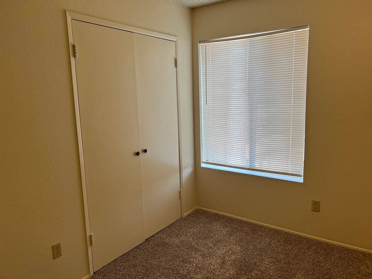 3 bed, $1,200 — Photo 2