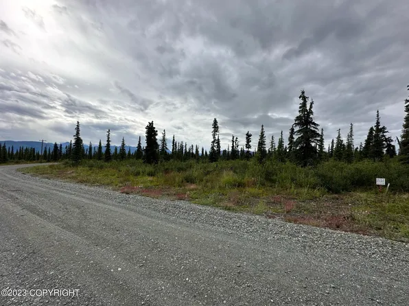 49106 S Timberwolf Rd, Chickaloon, AK 99674