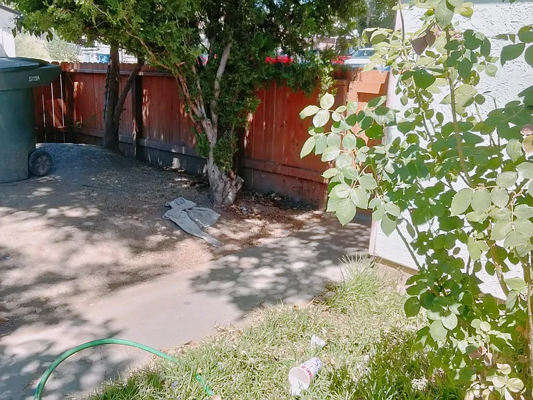 674 Gannet Ct — Photo 5
