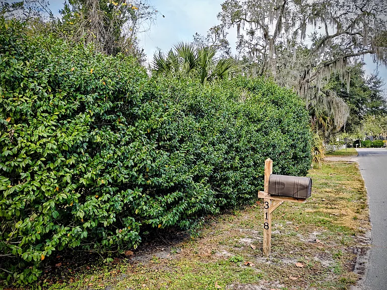 Private Bush Lined Yard