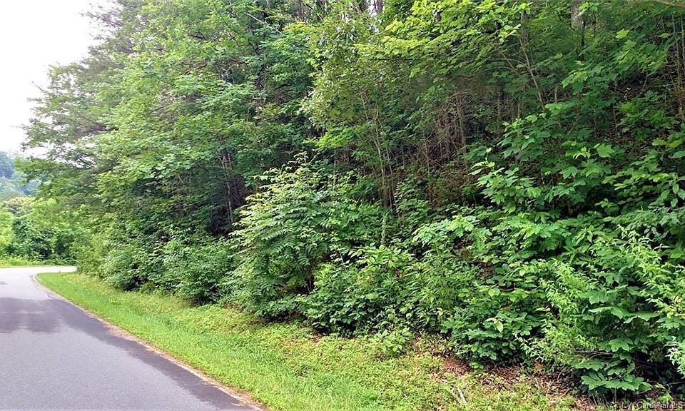 2nd image of 0 Ben Cook Rd