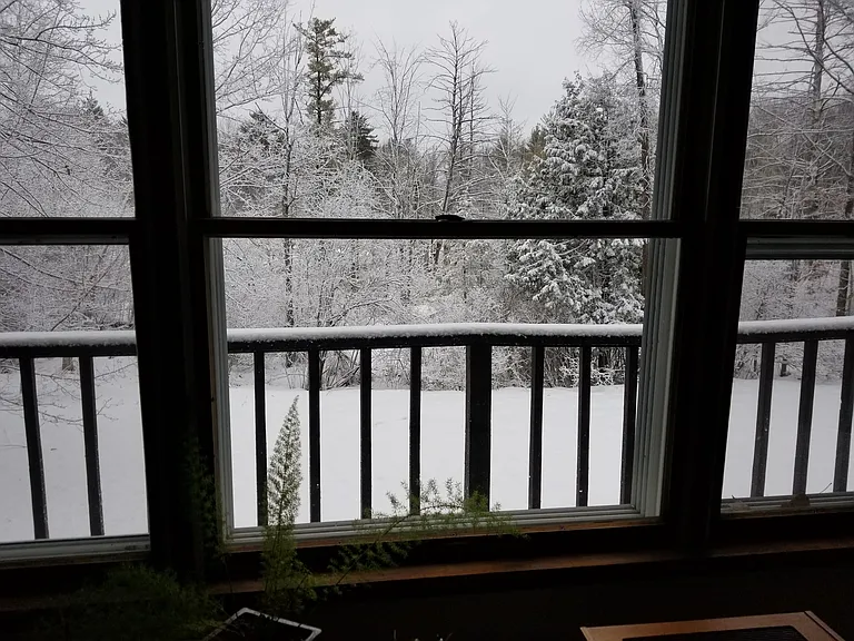 10961 Cedar Hedge Trl — Photo 11