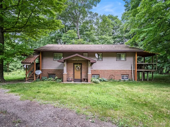 4424 Teal Ln, Newaygo, MI 49337