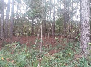 950 Francis Parker Rd, Georgetown, SC 29440