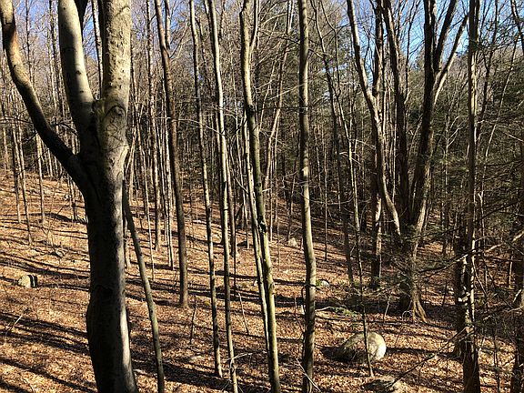 1187 Litchfield Road