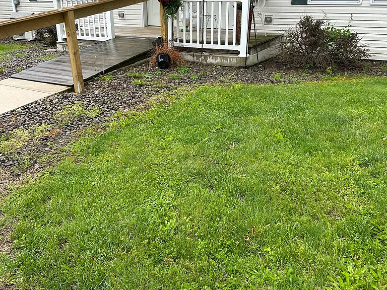 215 W Walnut St #215 — Photo 8