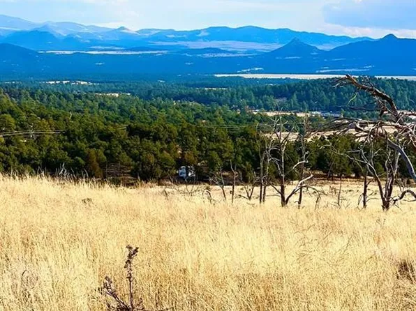 938 25th Trl, Cotopaxi, CO 81223