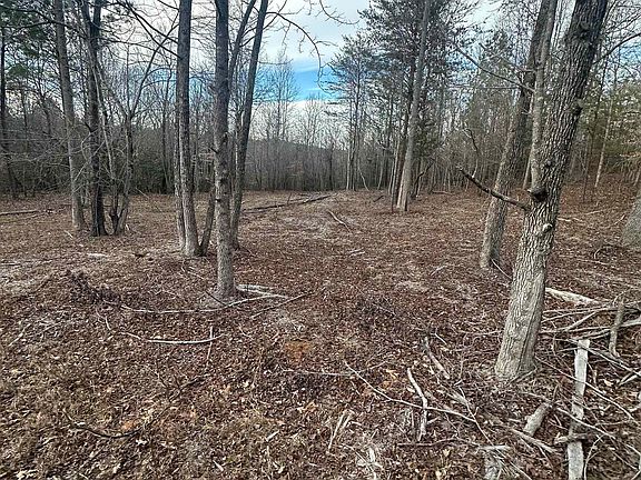 4th image of Plantation Trl